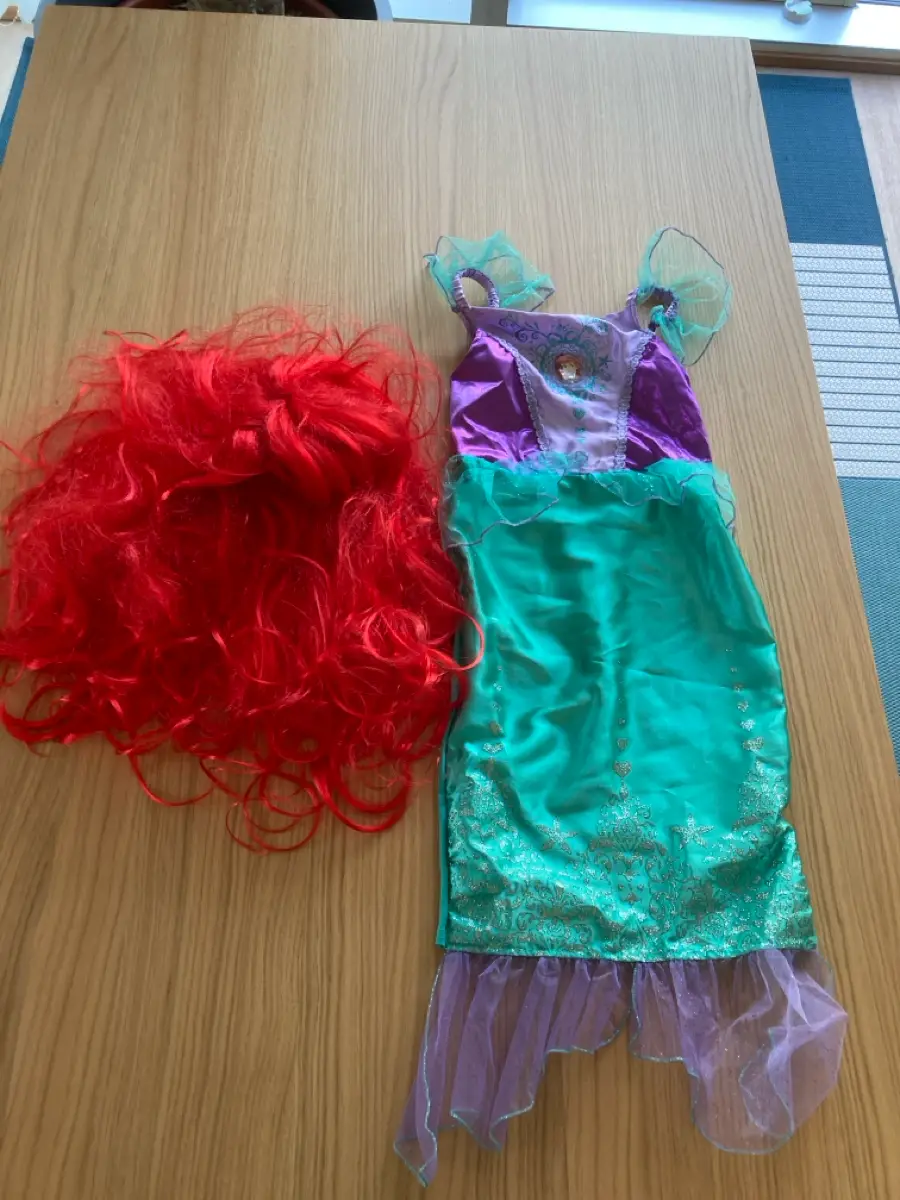 Disney Ariel kostume