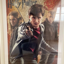 Harry Potter Plakat med ramme