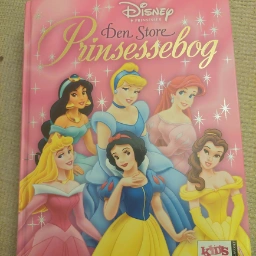 Den store prinsessebog Bog