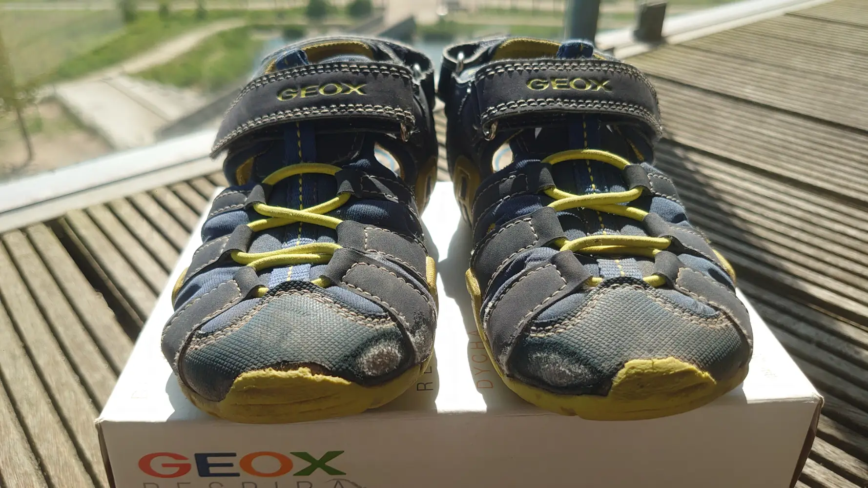 Geox Sandaler