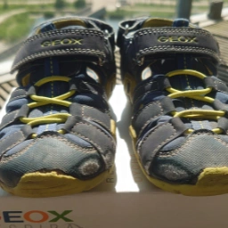 Geox Sandaler