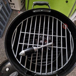 Weber Grill