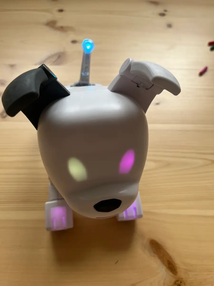 Dog-E Robot hund