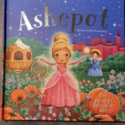 Askepot Bog