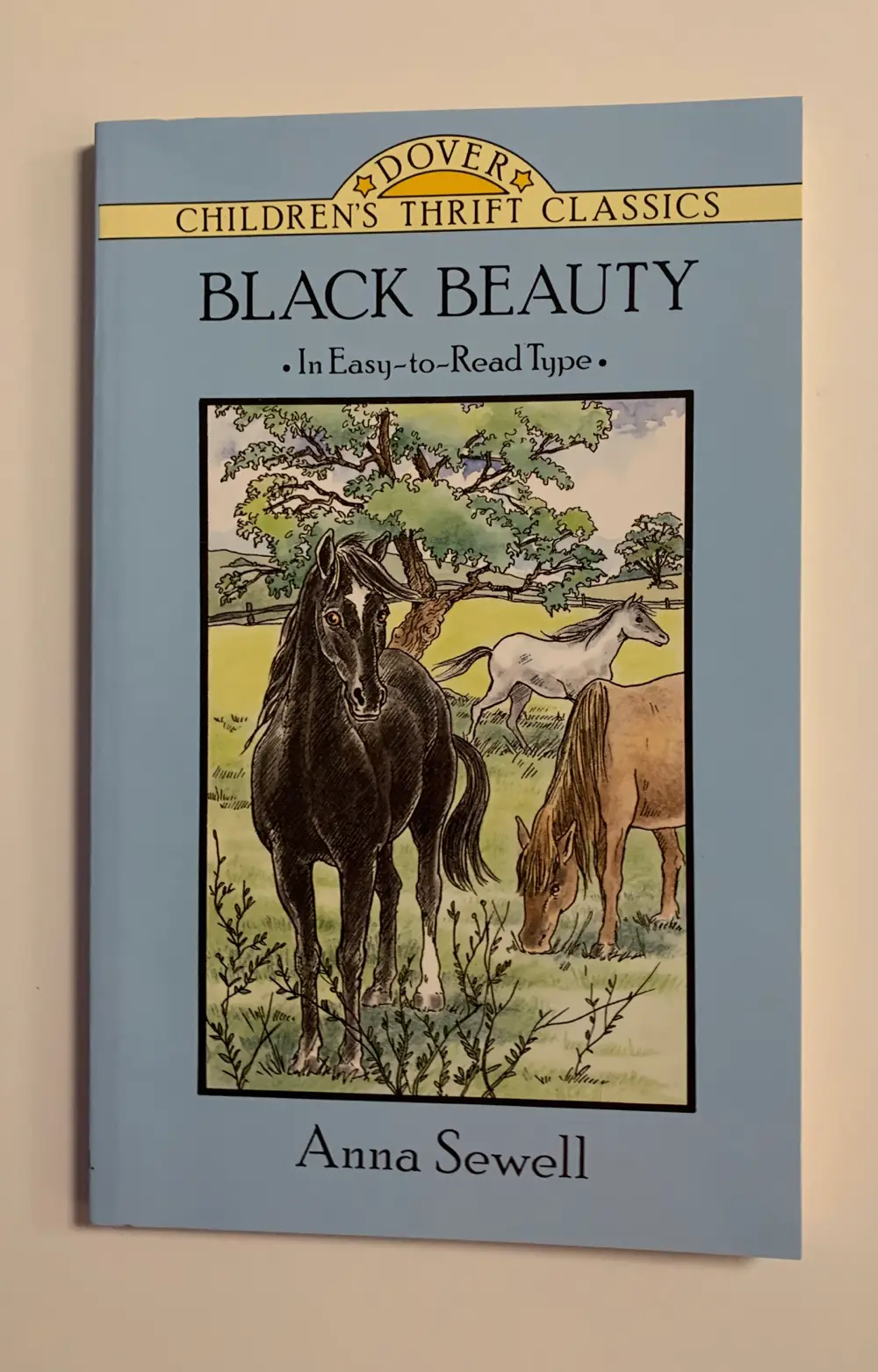 Black Beauty Bog