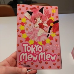 Tokyo mew mew Bog