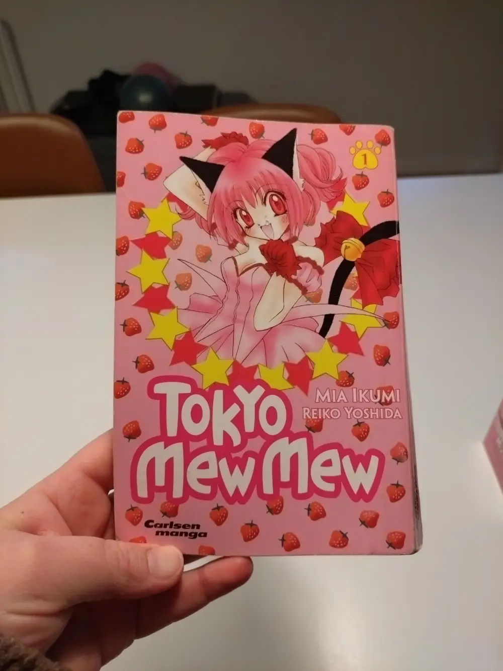 Tokyo mew mew Bog