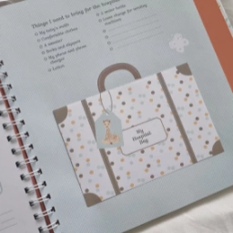 Sophie la Giraffe Pregnancy Journal