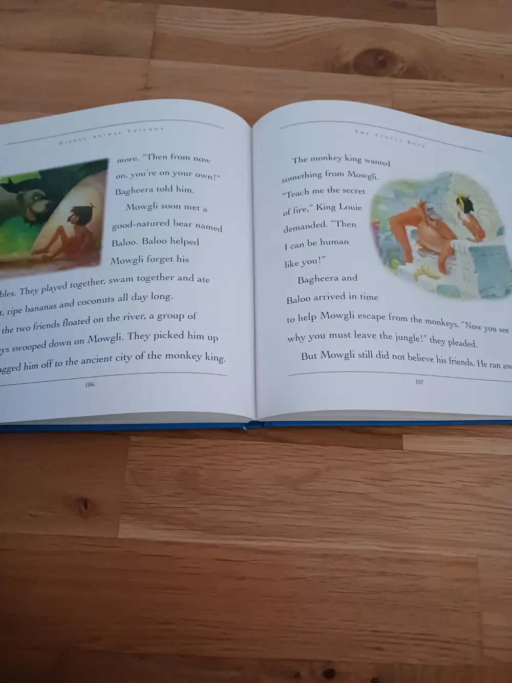 Disney Storybook Collection Bog på engelsk/book in english