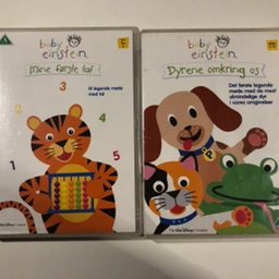 Baby Einstein Dvd