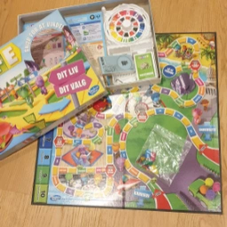 Hasbro The game of life