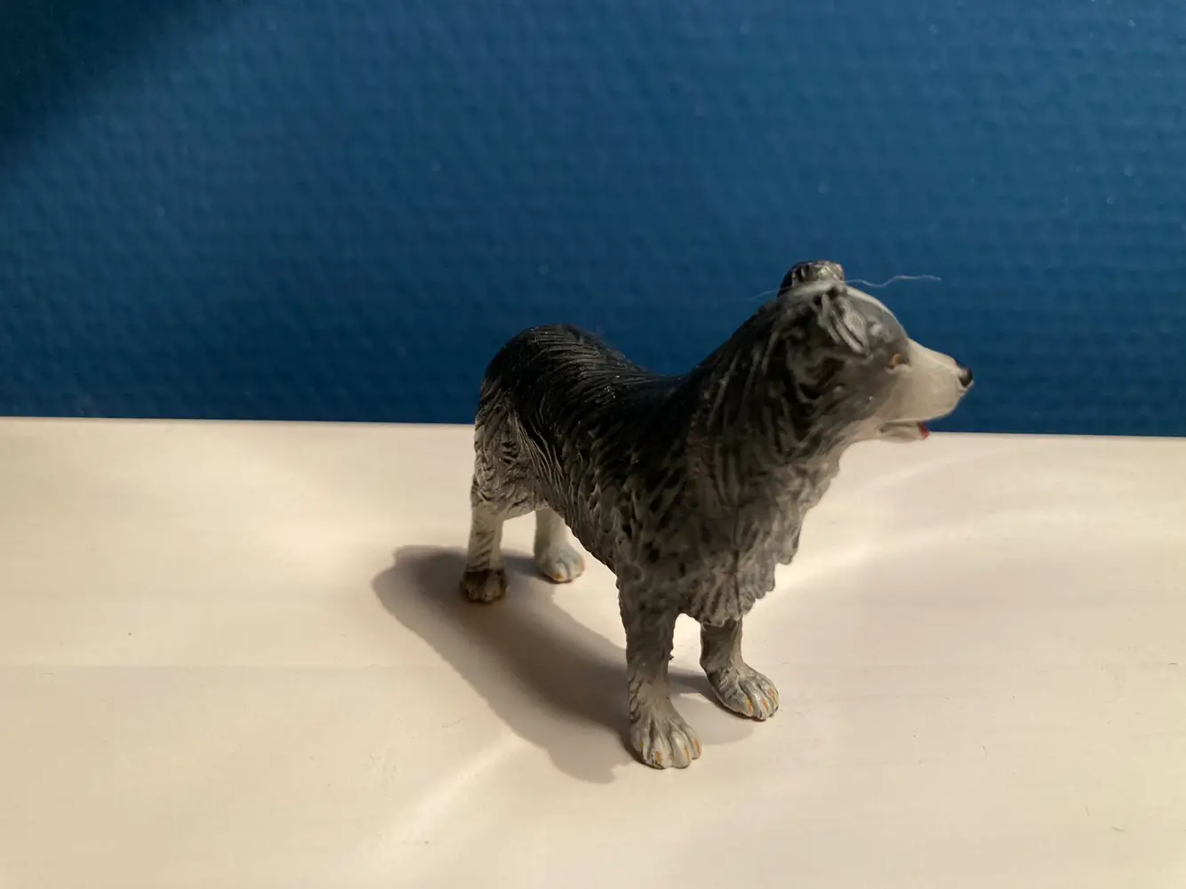 Schleich Border collie