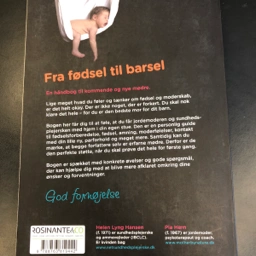 Graviditet fødsel og barsel Bog