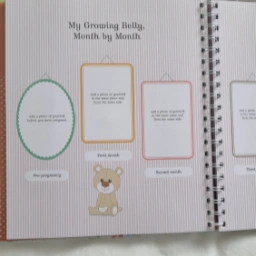 Sophie la Giraffe Pregnancy Journal