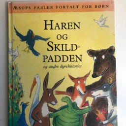 Haren og skildpadden Bog