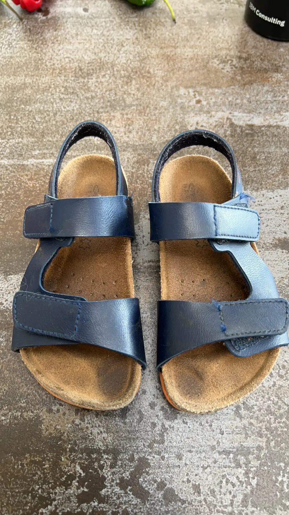 Geox Sandals