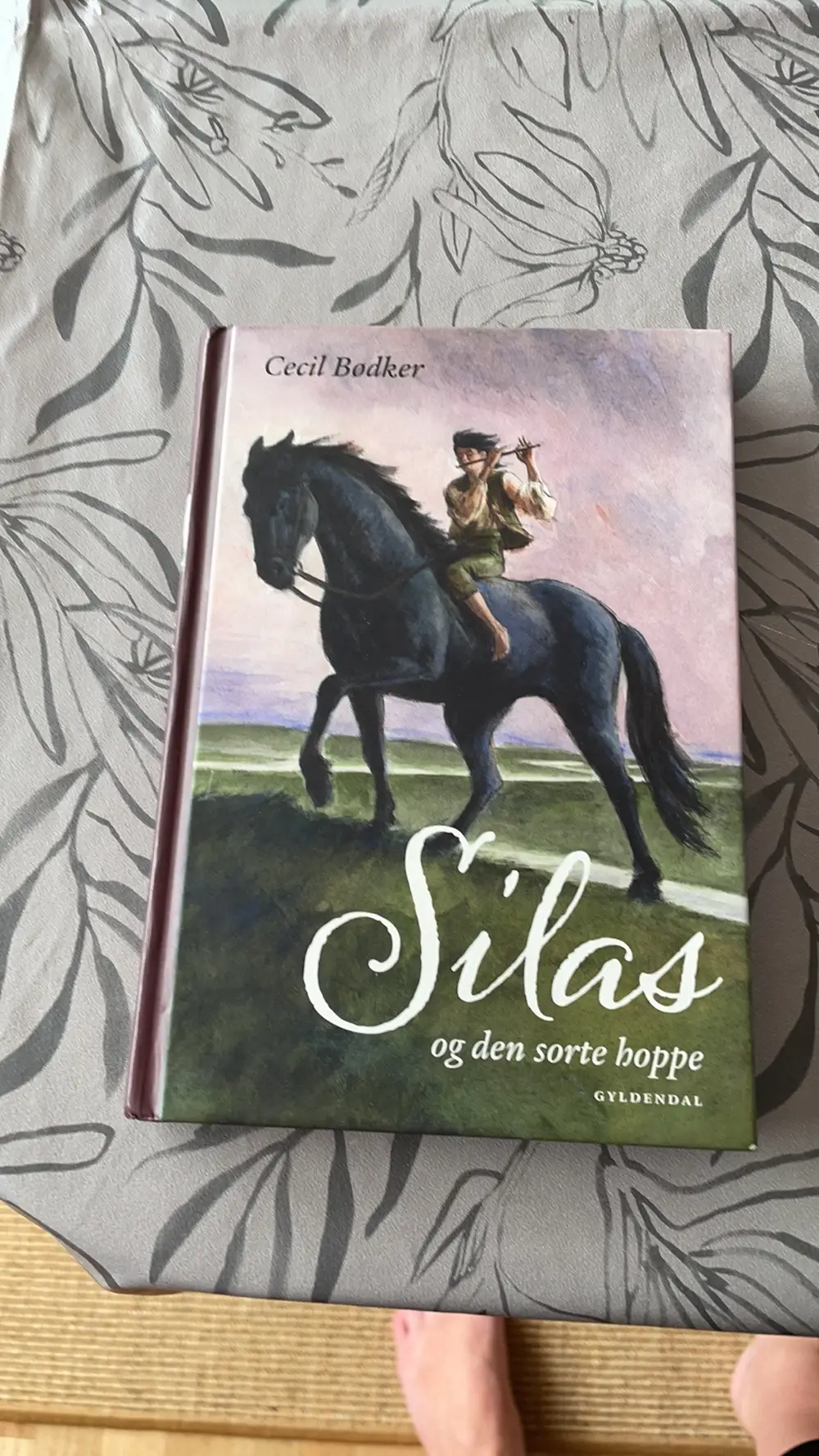 Silas og den sorte hoppe Bøger