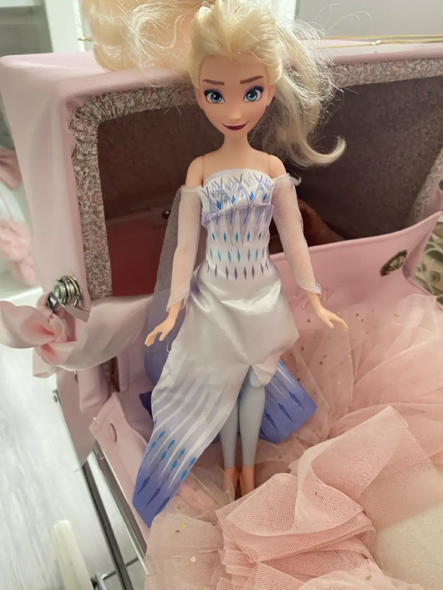 Barbie Elsa  frozen  Frost