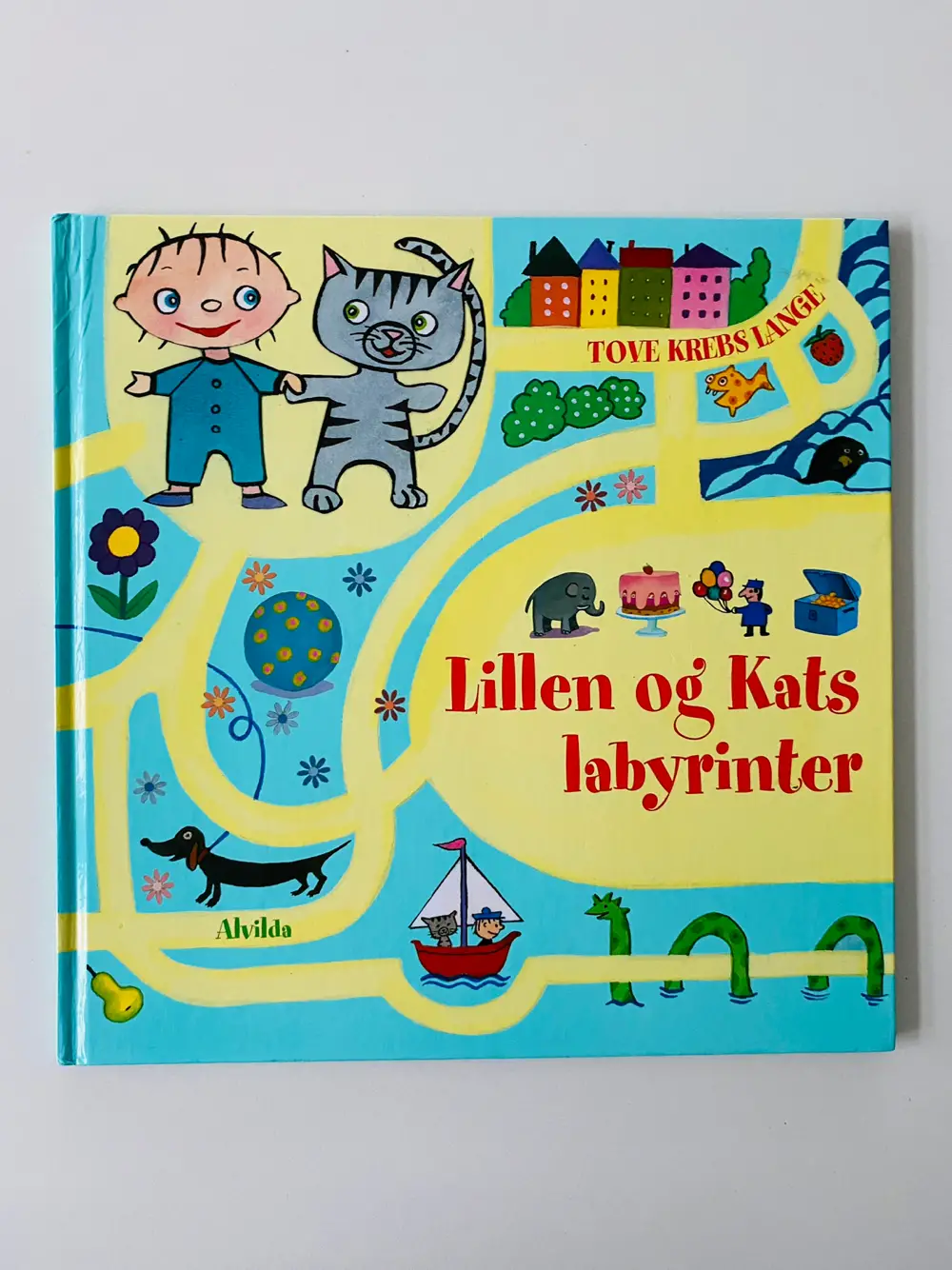 Lillen og kats labyrintbog Findebog/opgavebog/billedbog