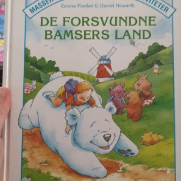 de forsvundne bamsers land Bog