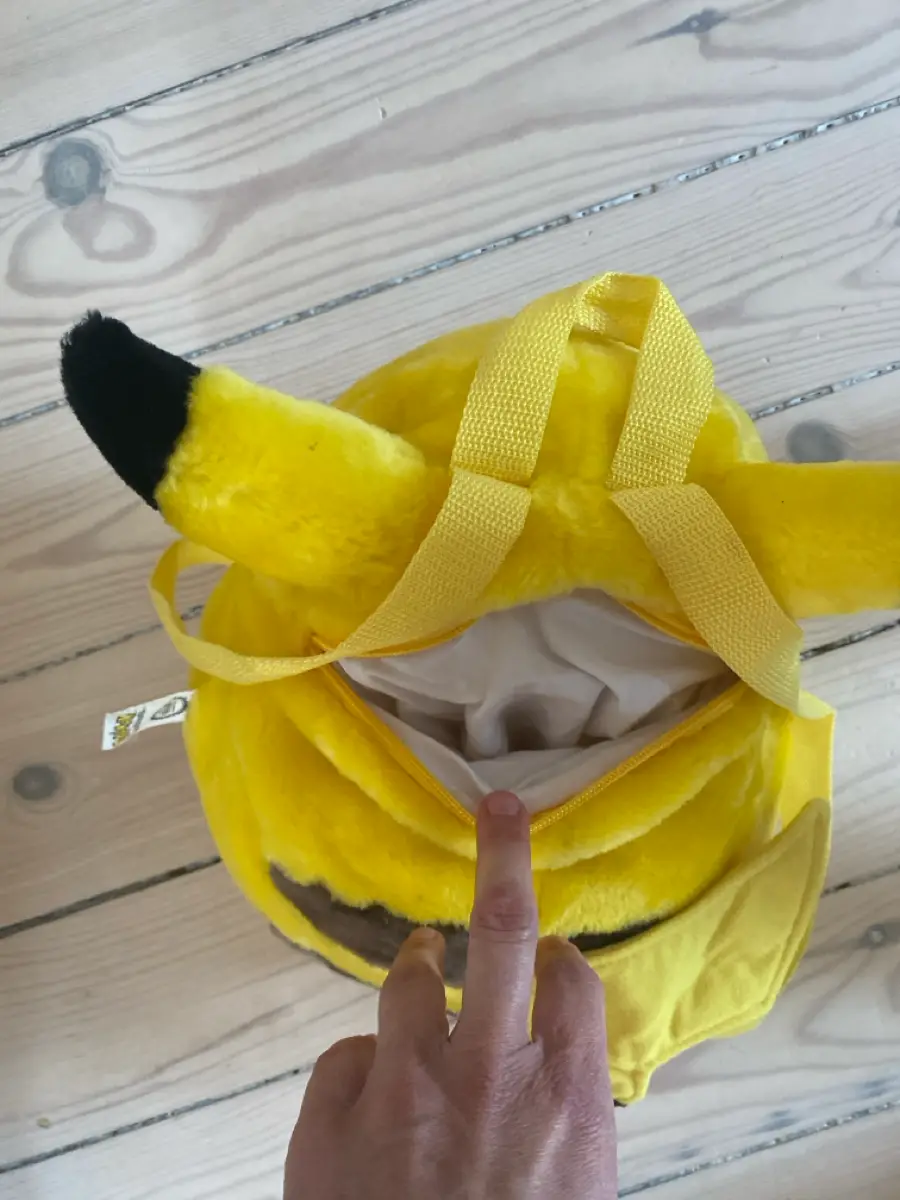 Pokémon Bamse