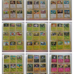 Pokémon Mappe C inkl kort