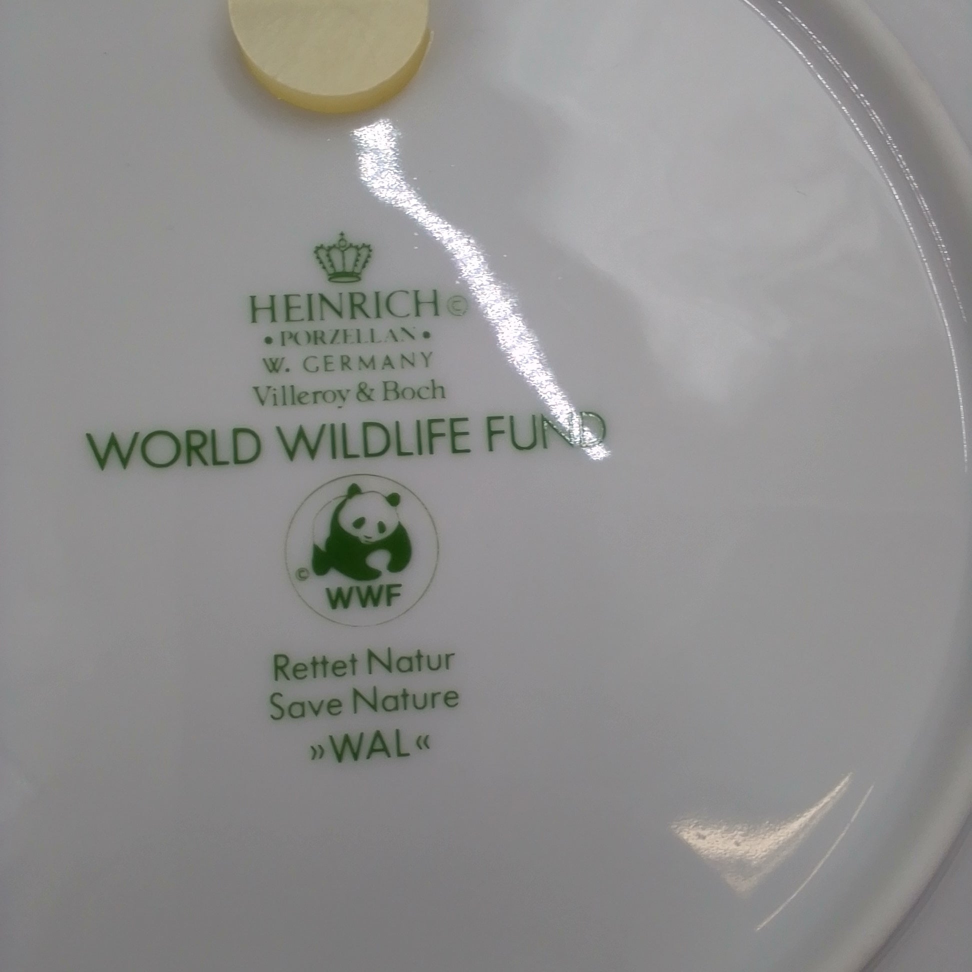 WWF platter