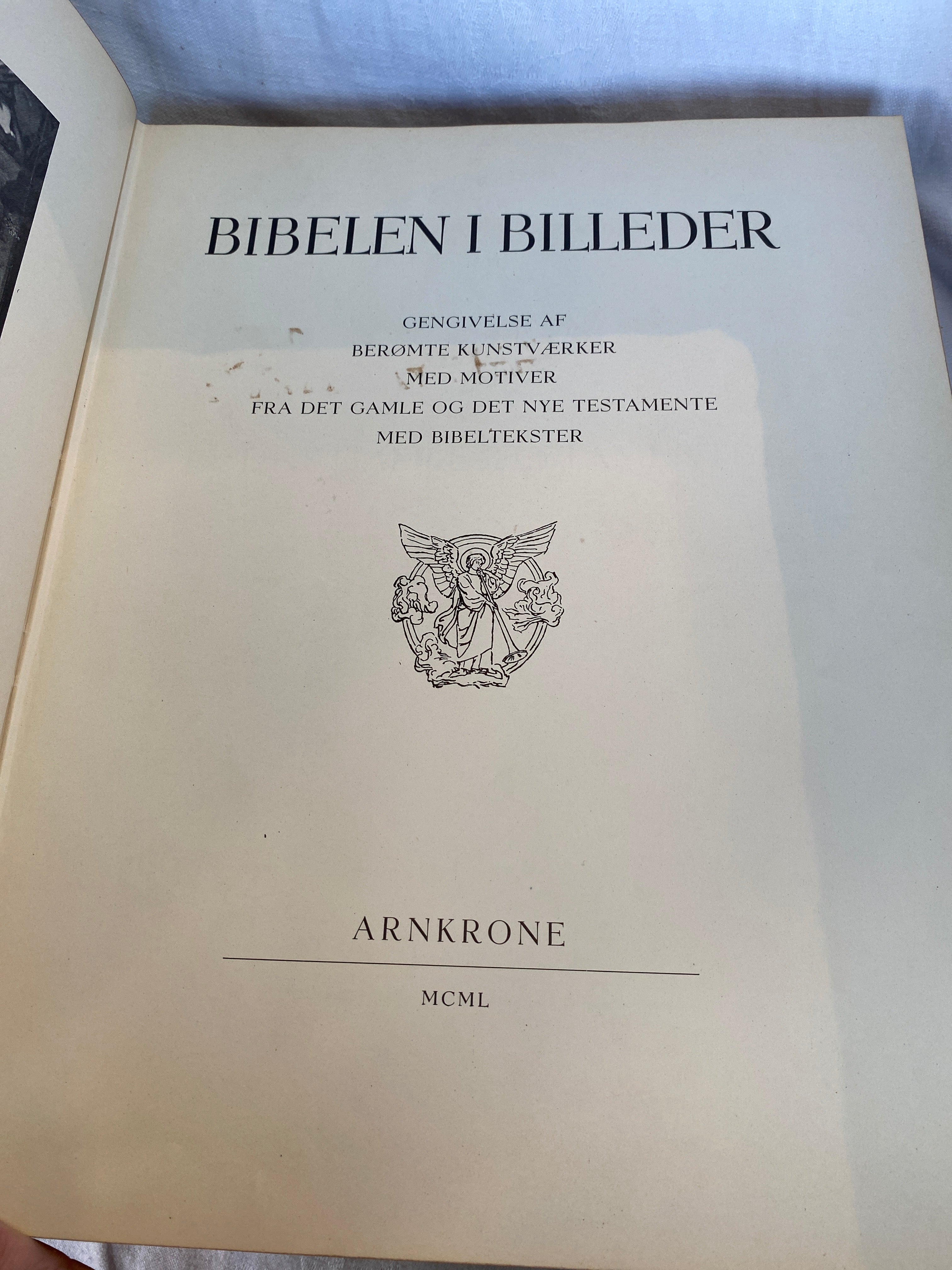 Bibelen i billeder