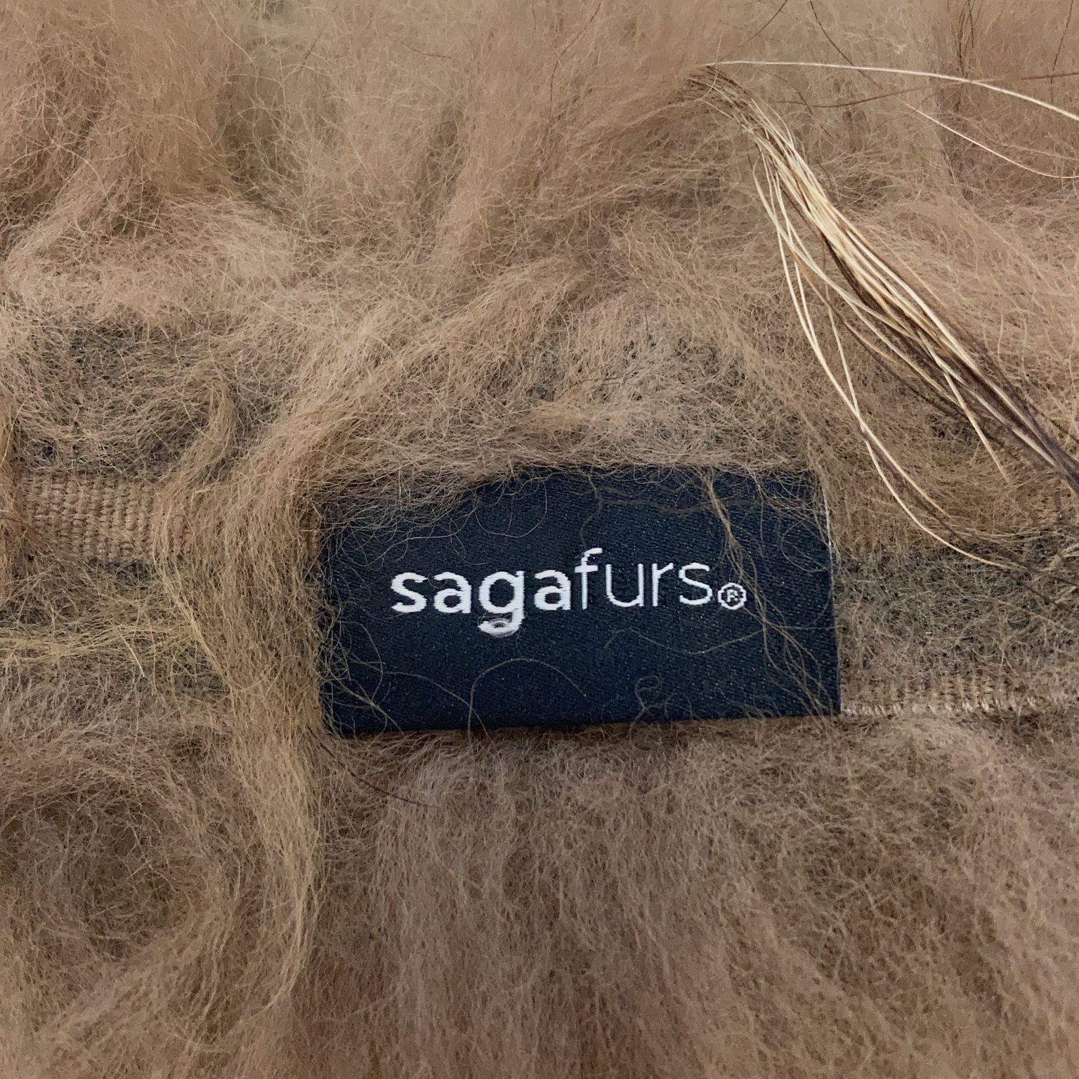 Sagafurs