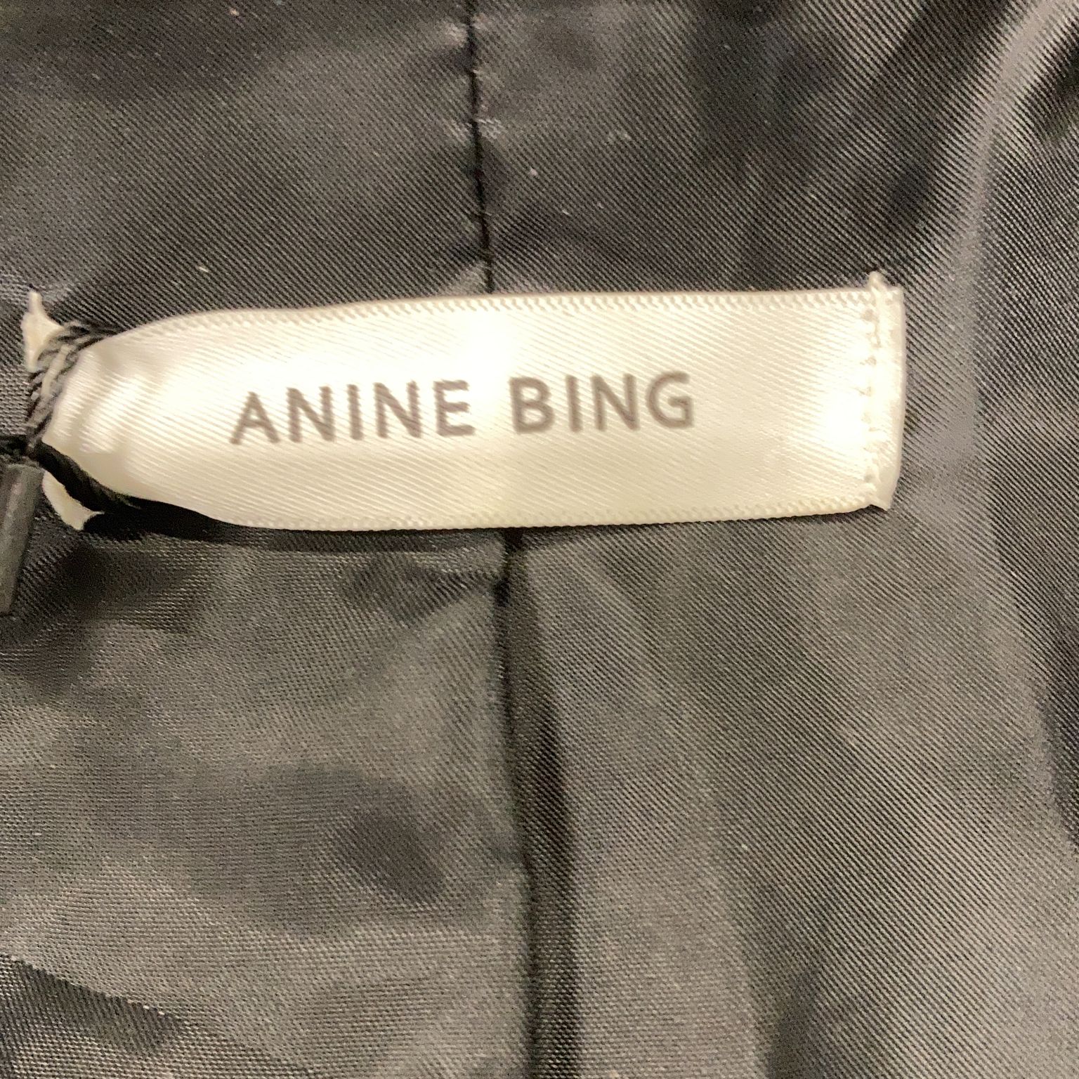 Anine Bing