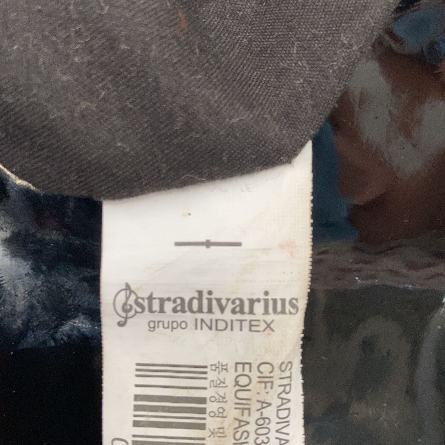 Stradivarius