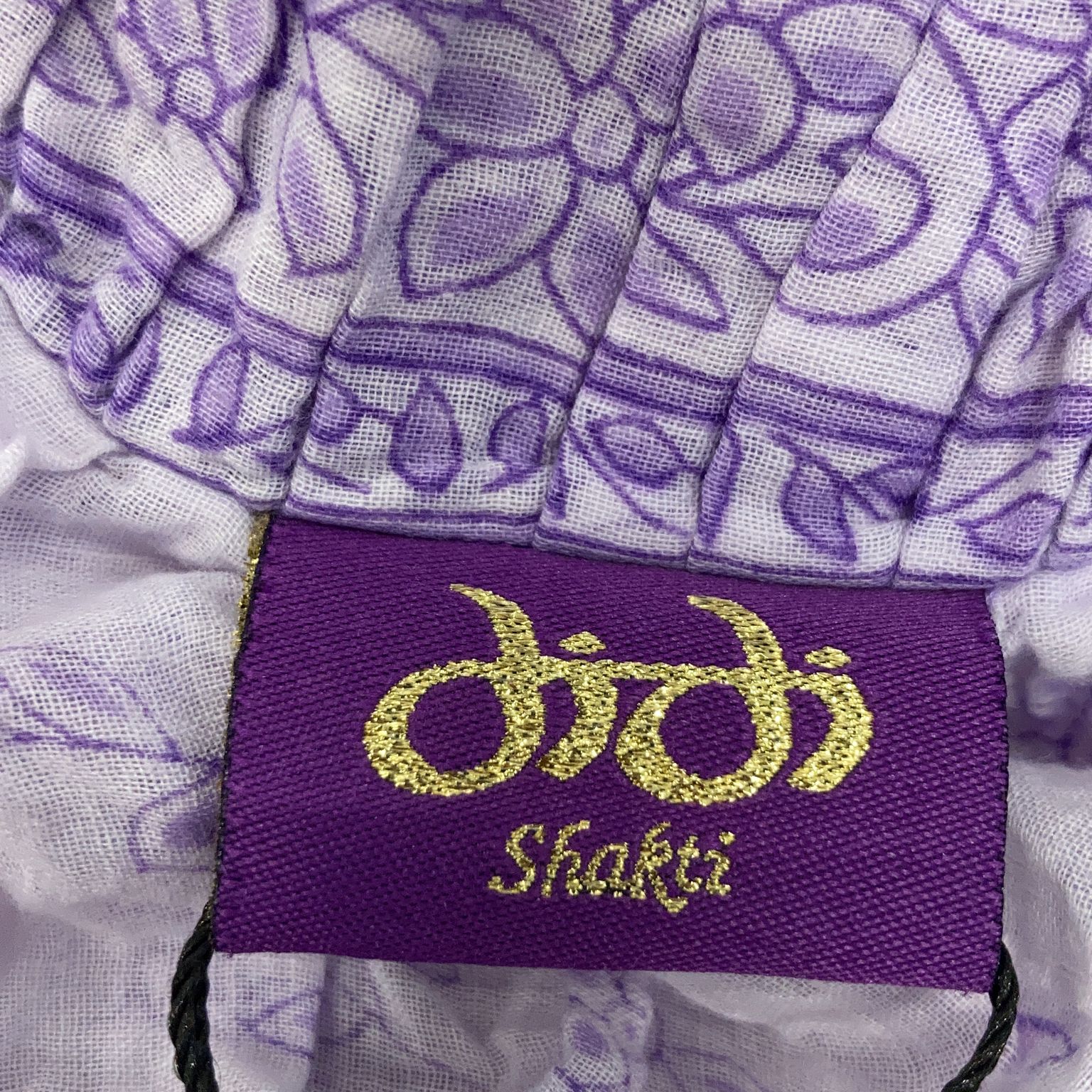 Didi Shakti