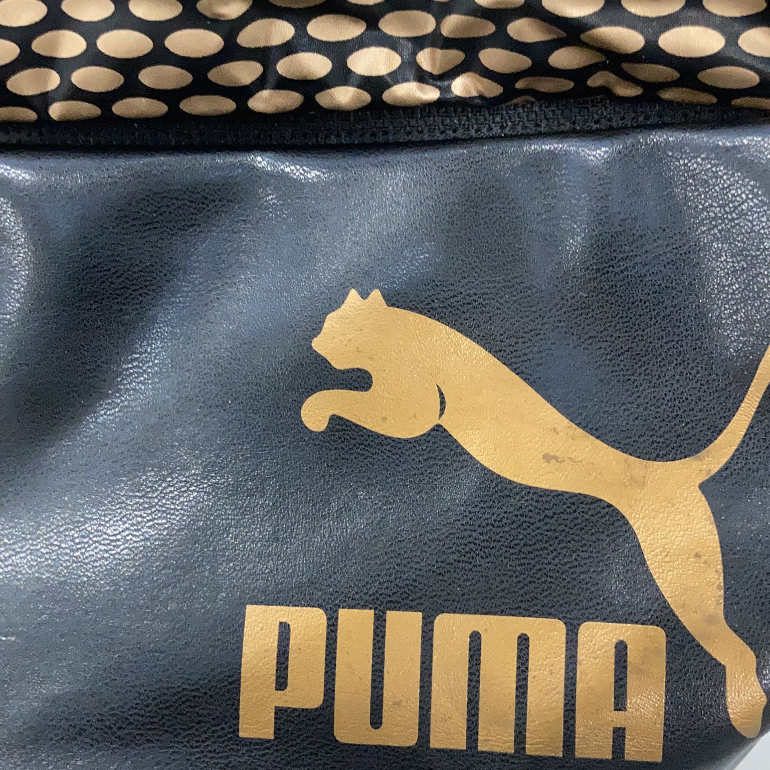 Puma