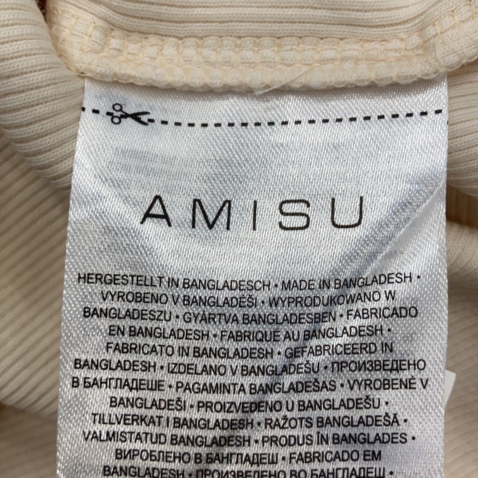 Amisu