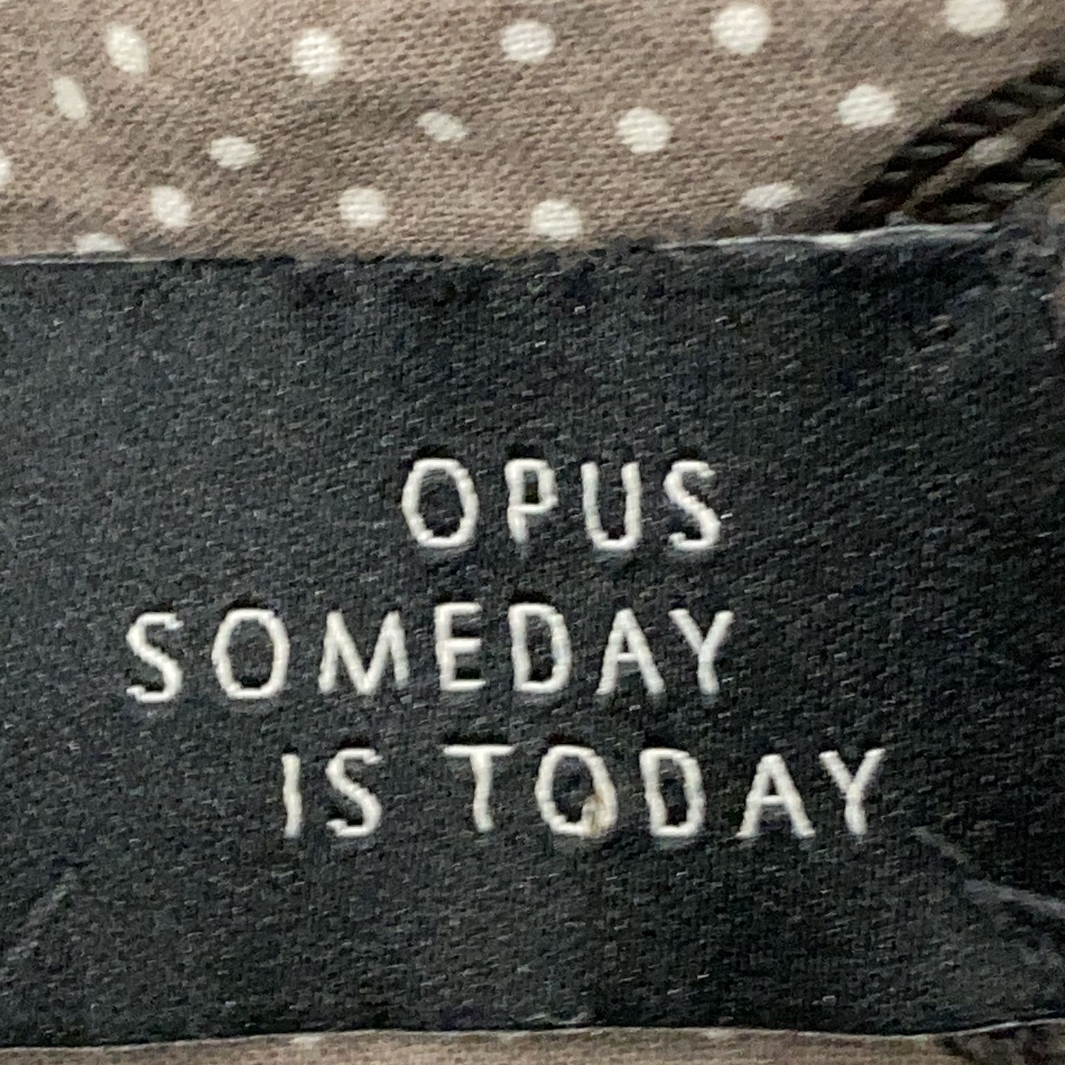 Opus Someday Is Today