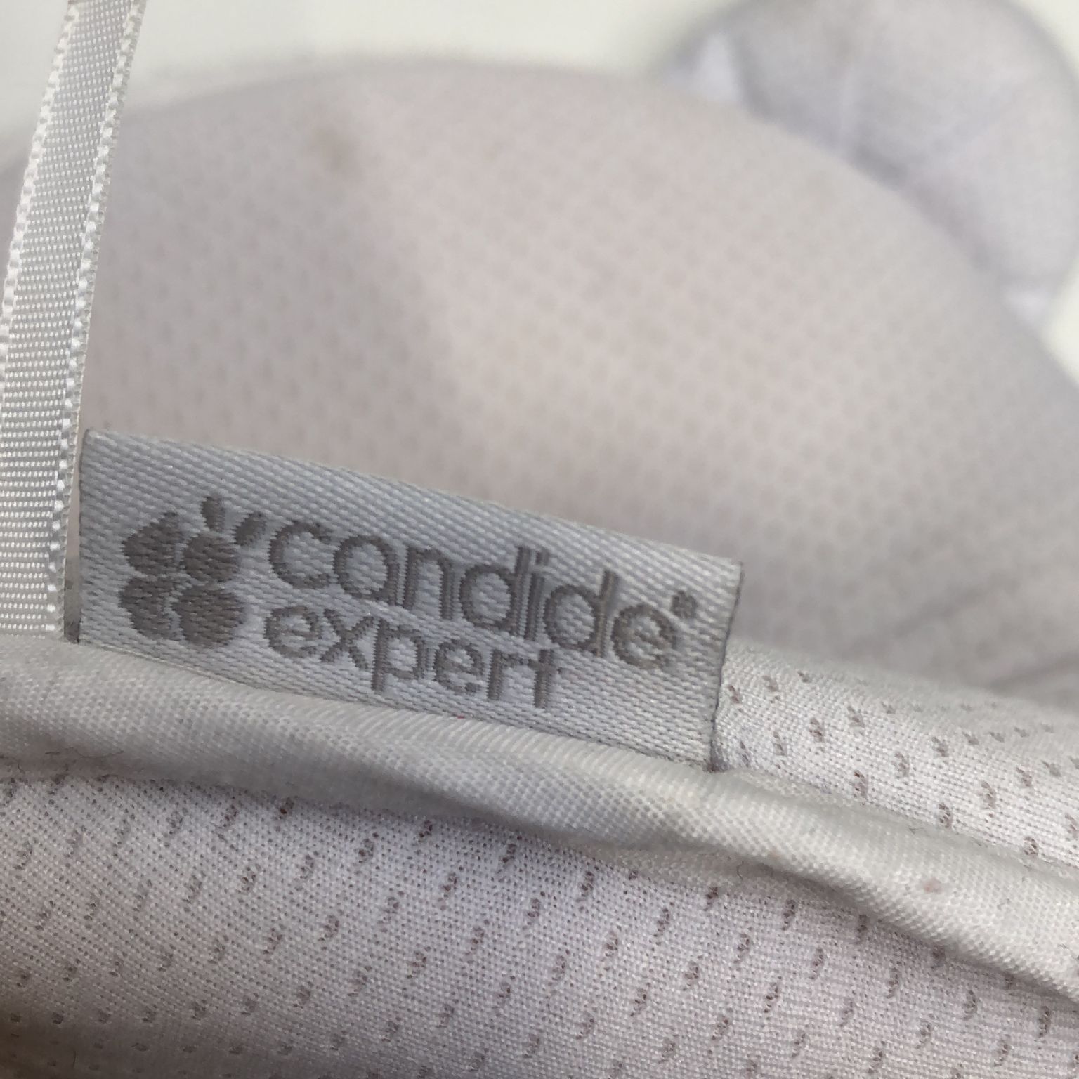 Candide Expert