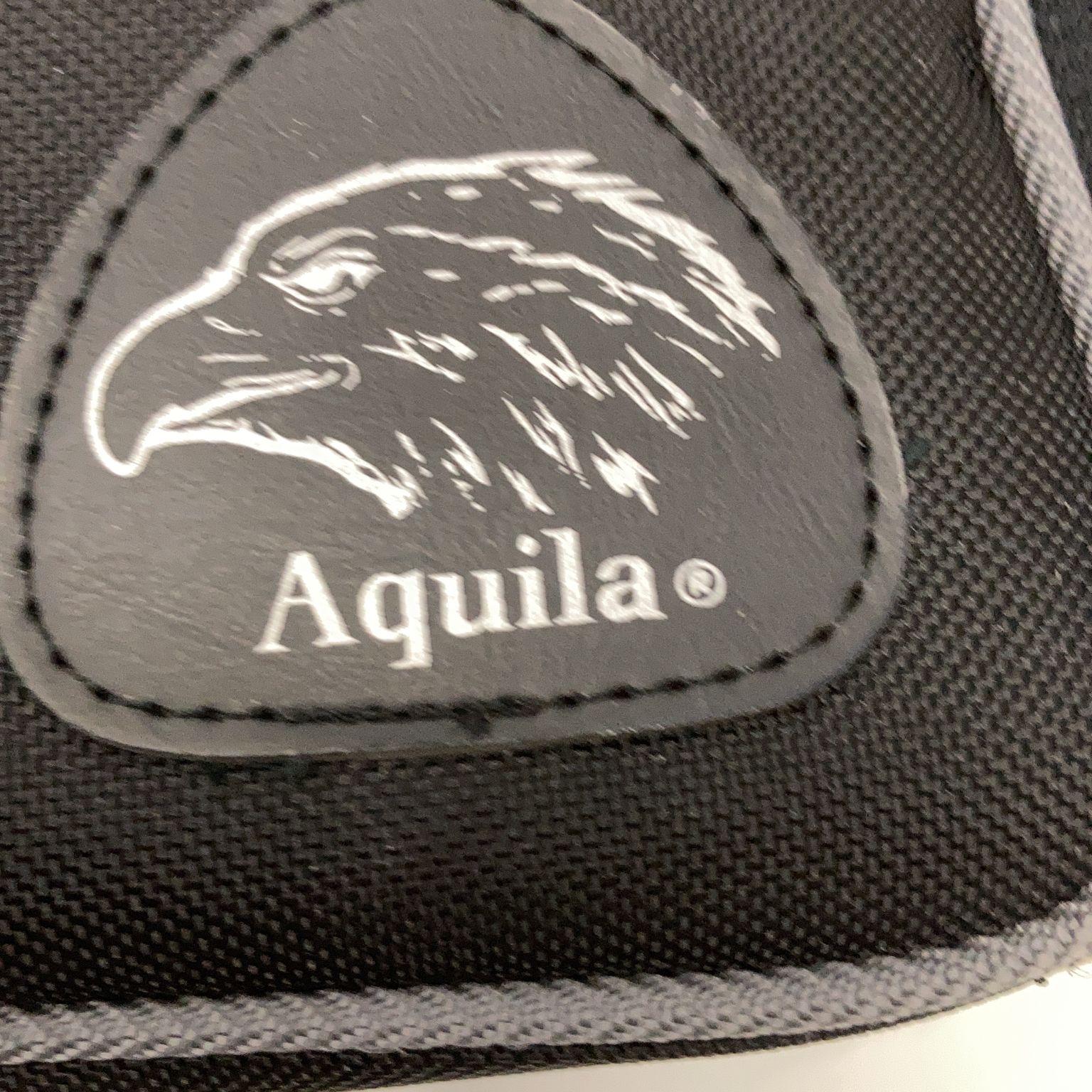 Aquila