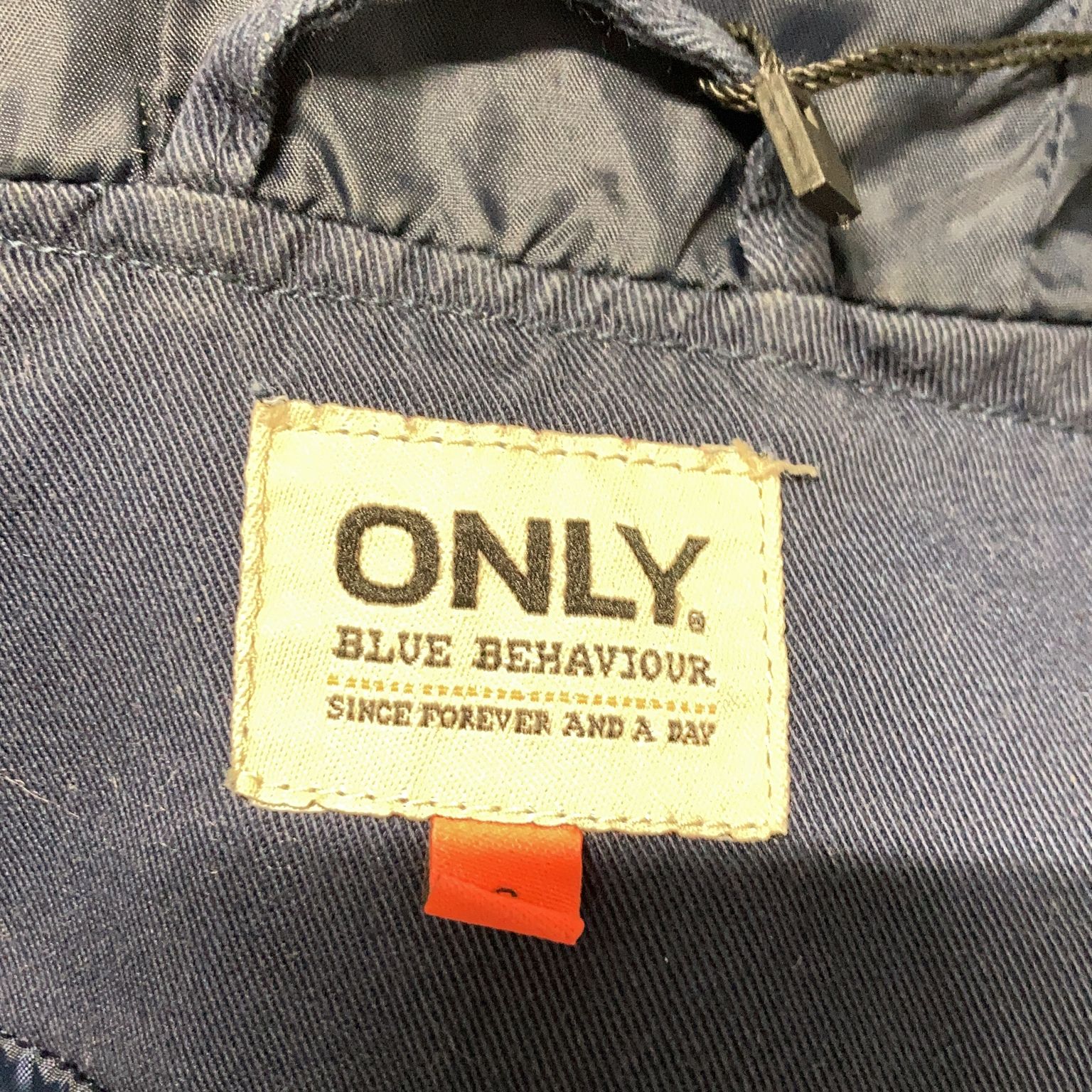 ONLY Blue Behavior