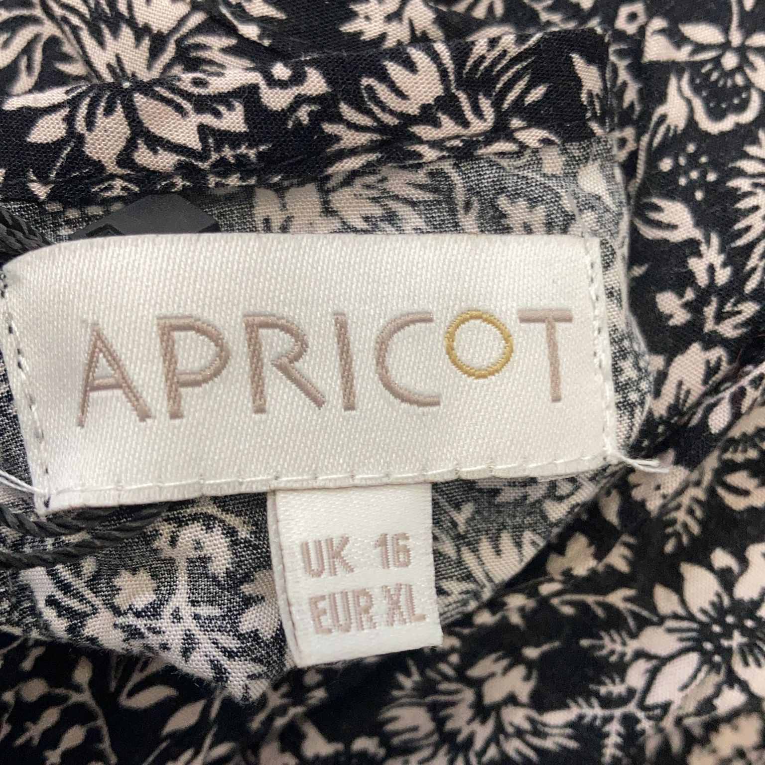 Apricot