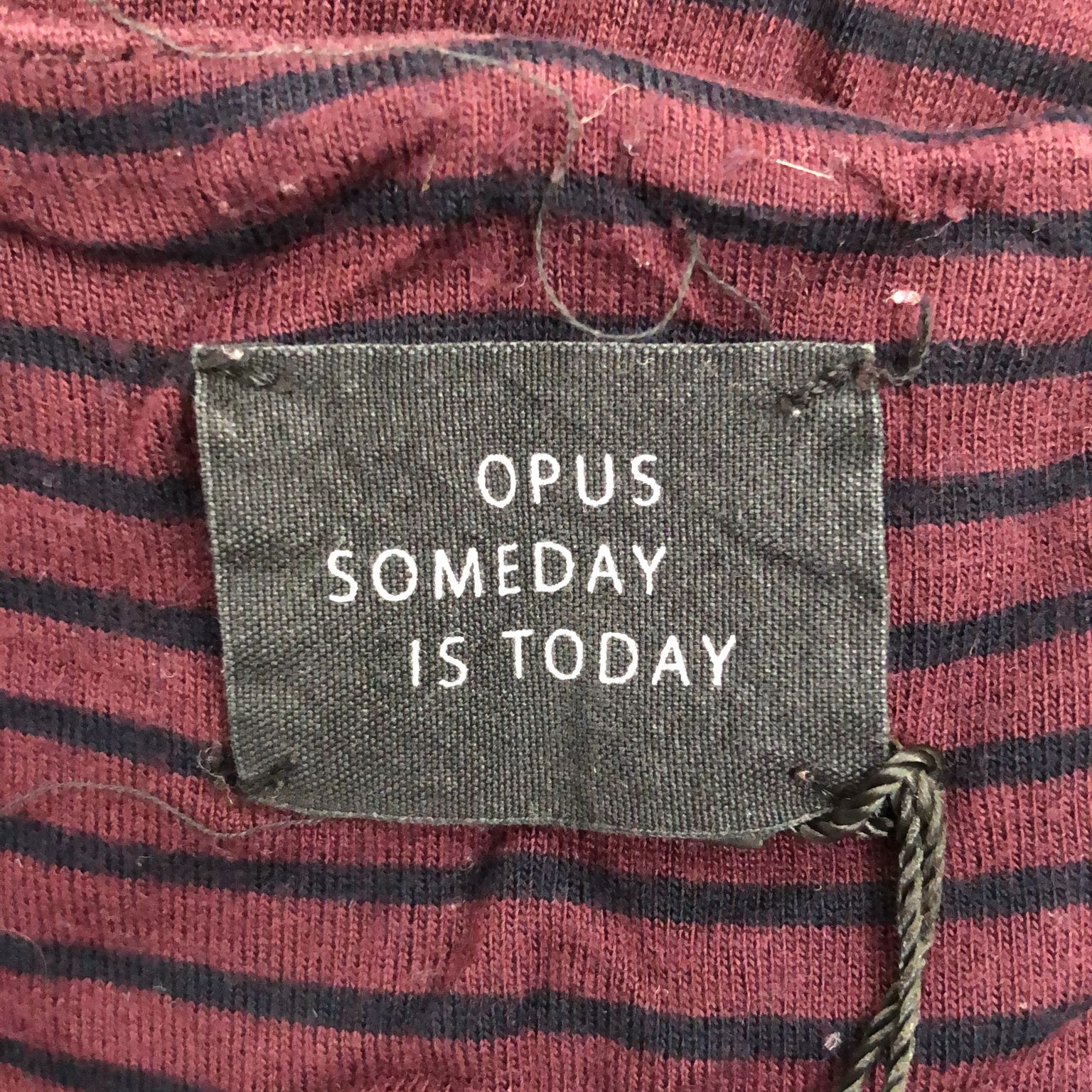 Opus Someday Is Today