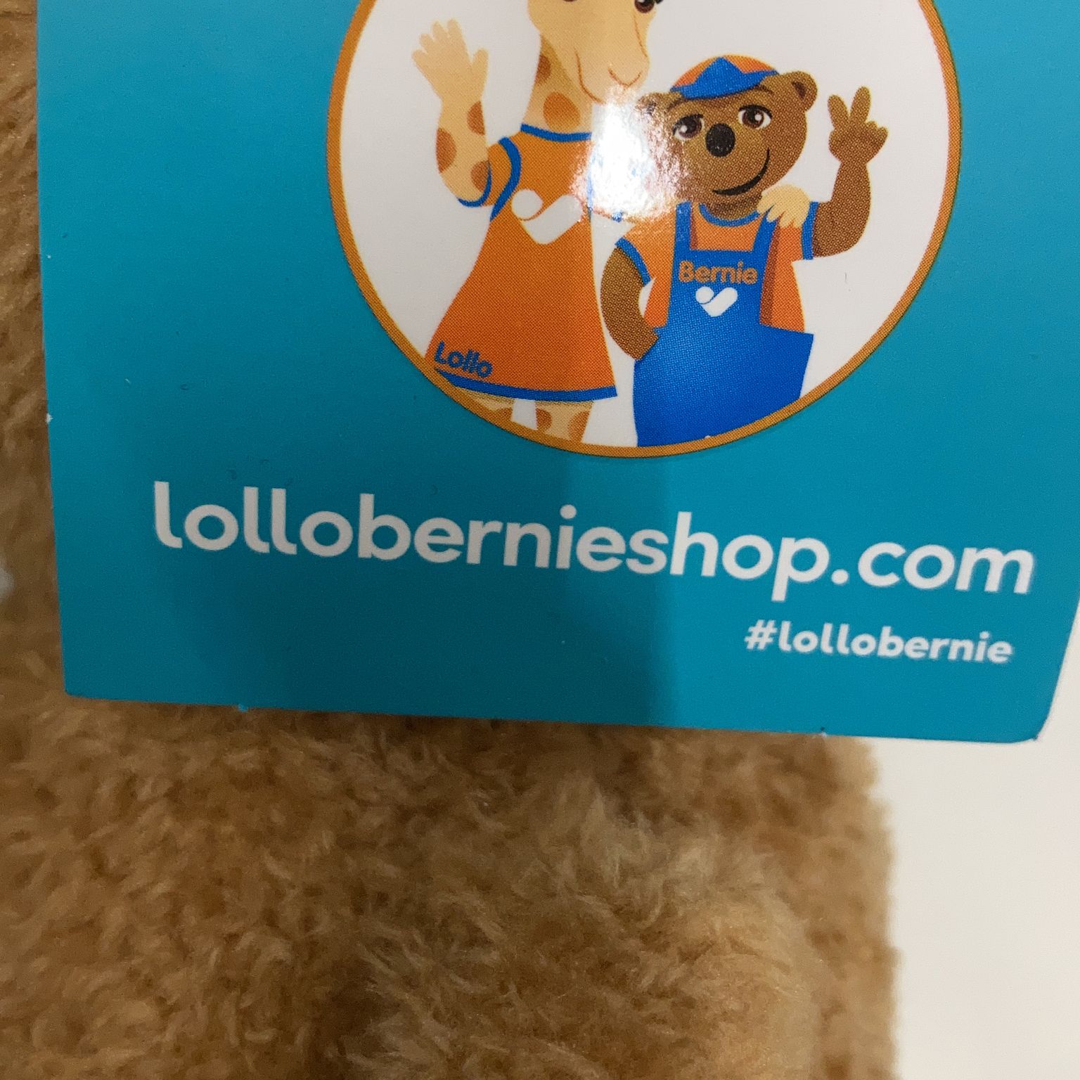 Lollo  Bernie