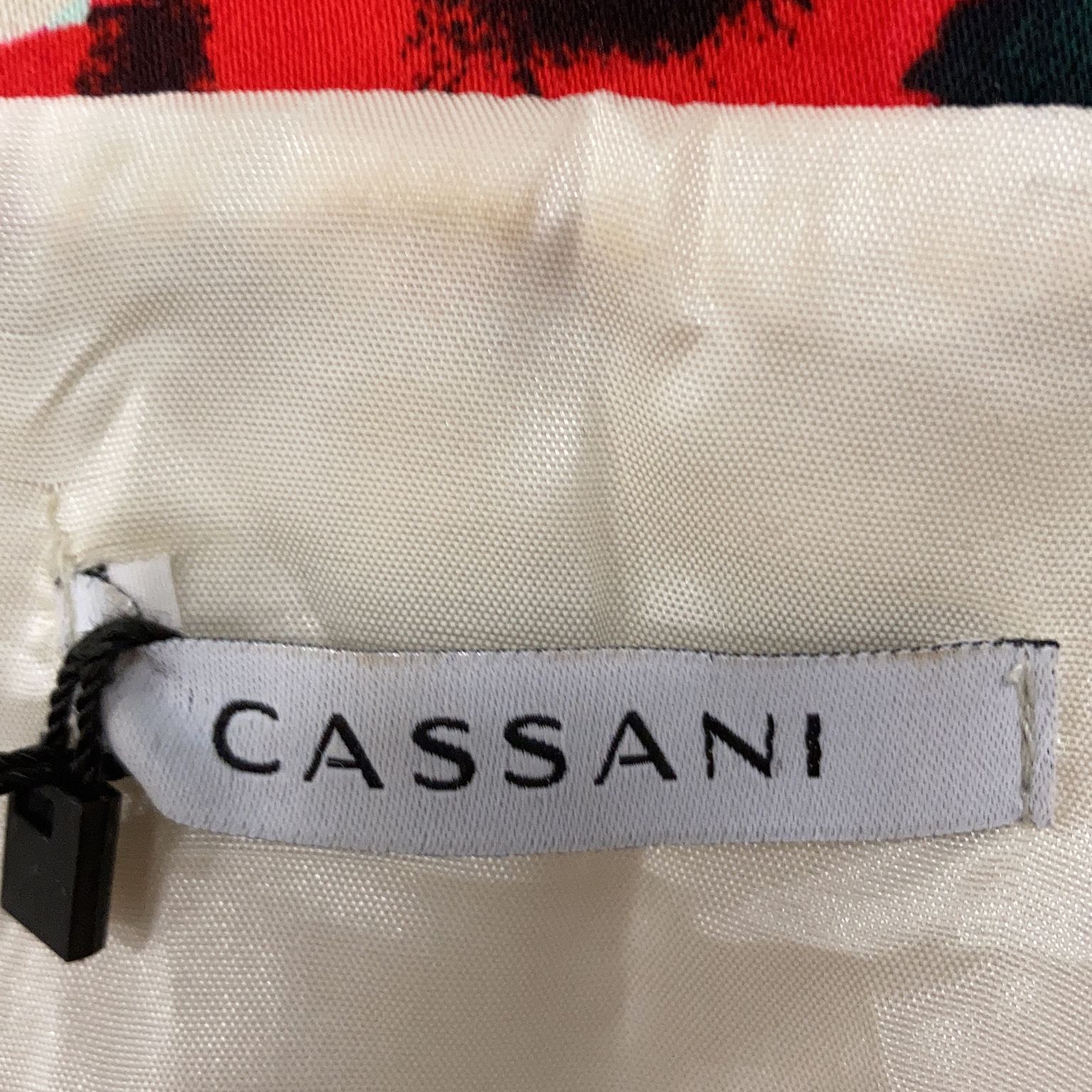 Cassani