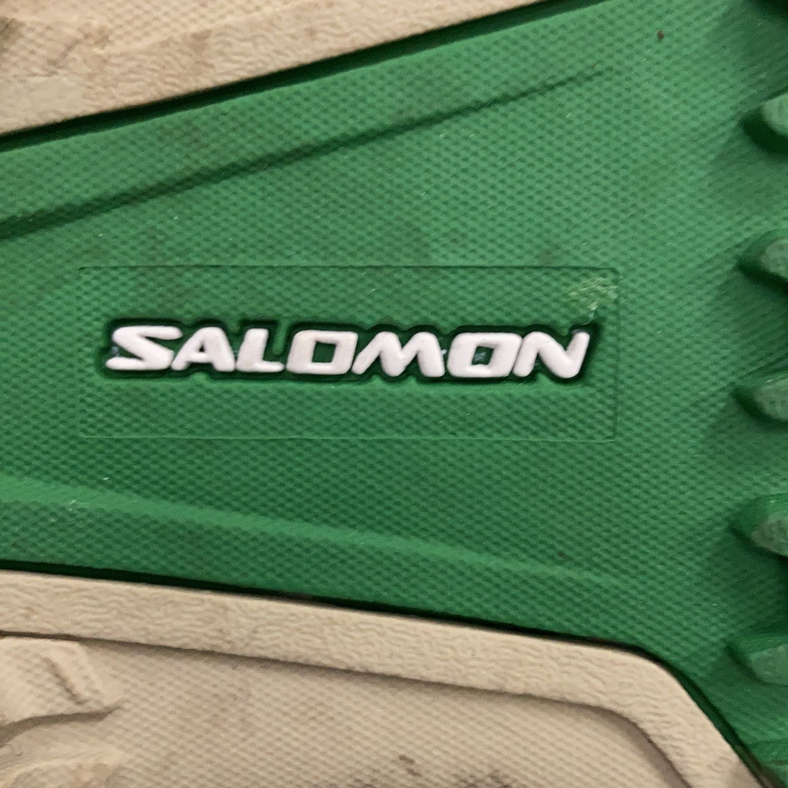 Salomon