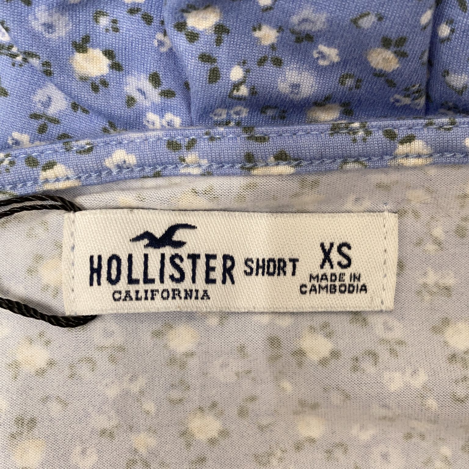 Hollister