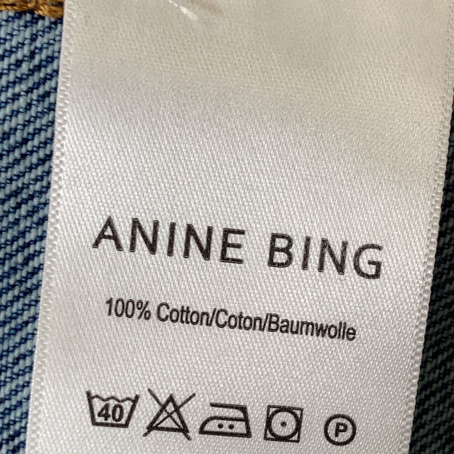 Anine Bing