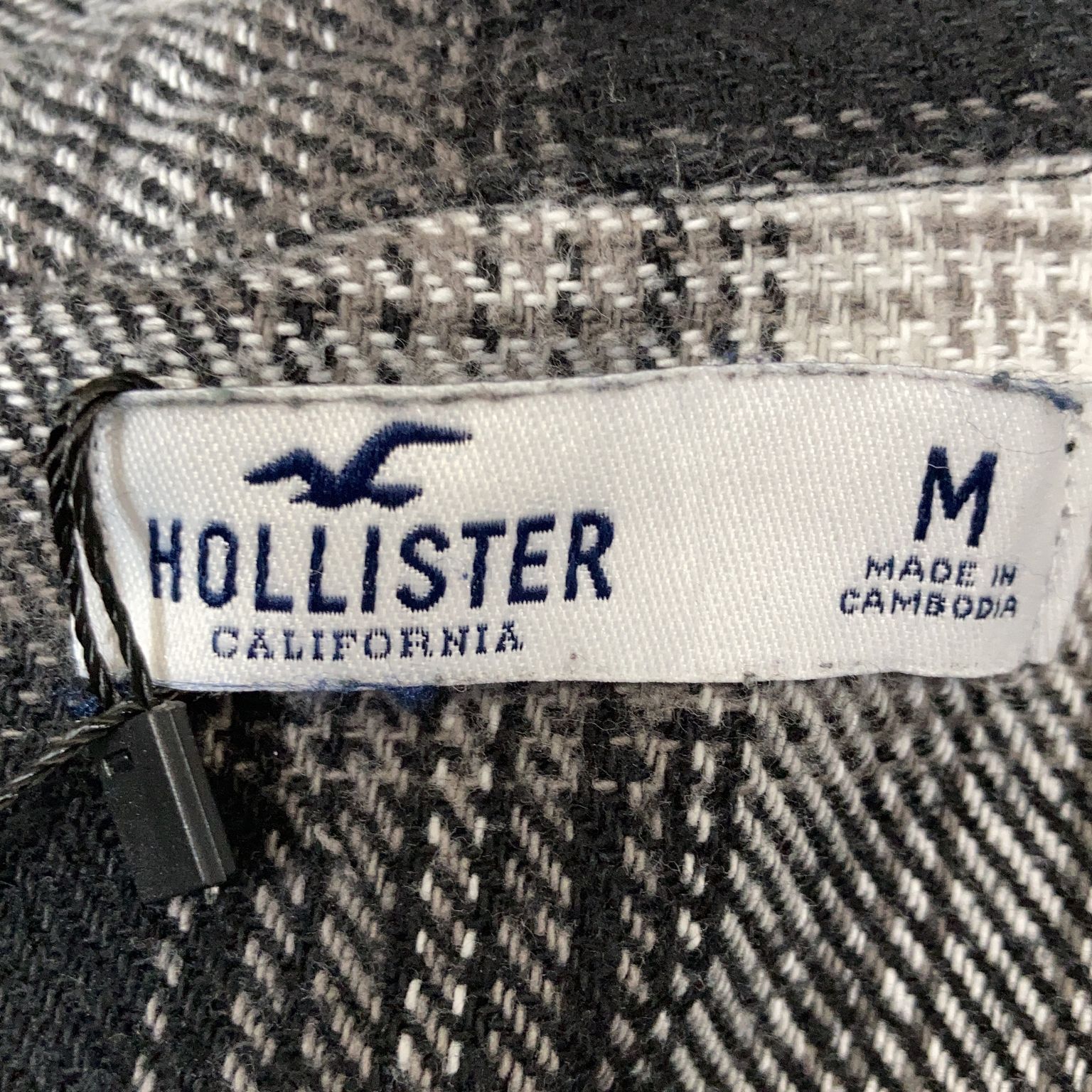 Hollister