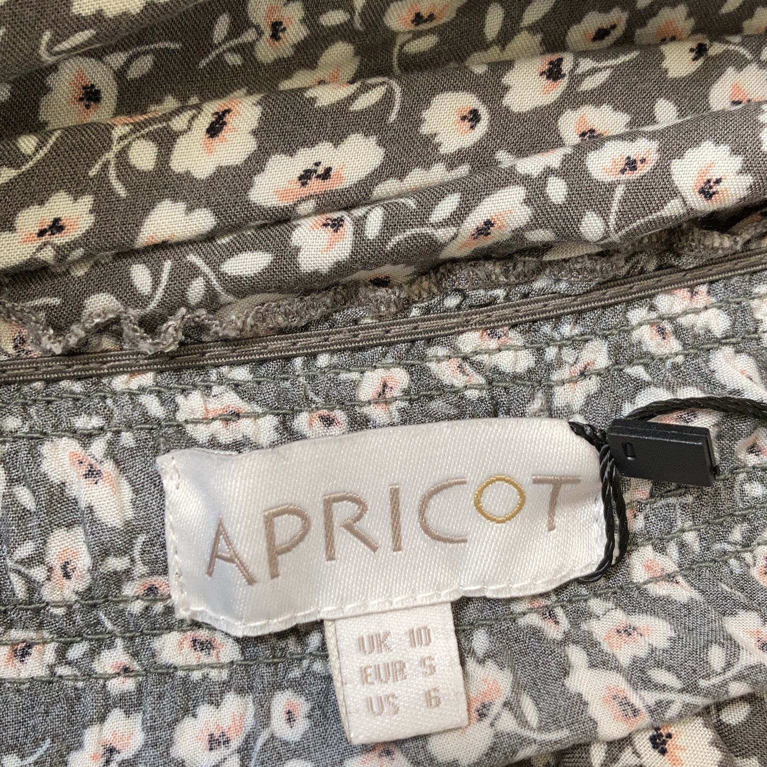 Apricot