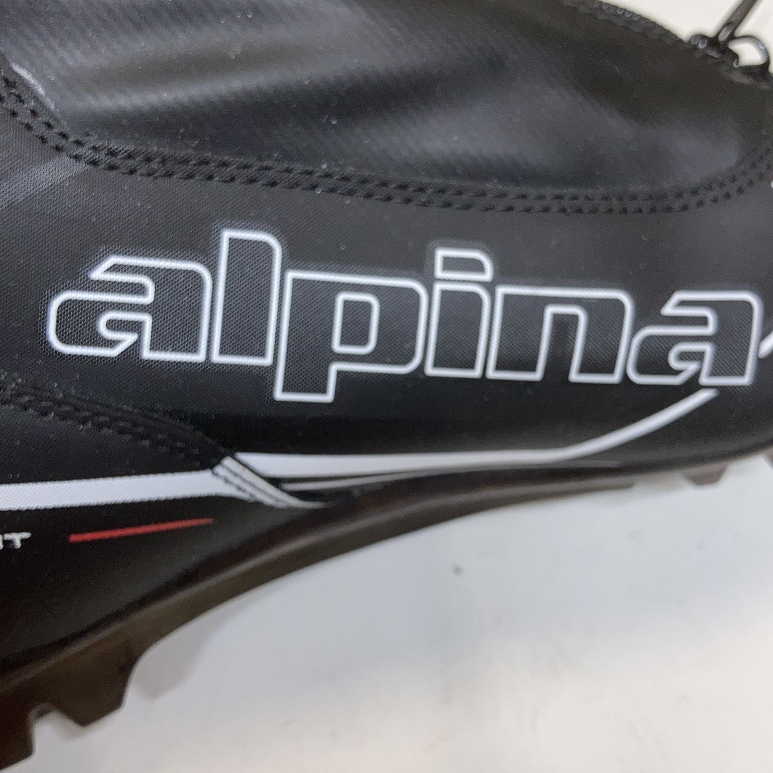 Alpina