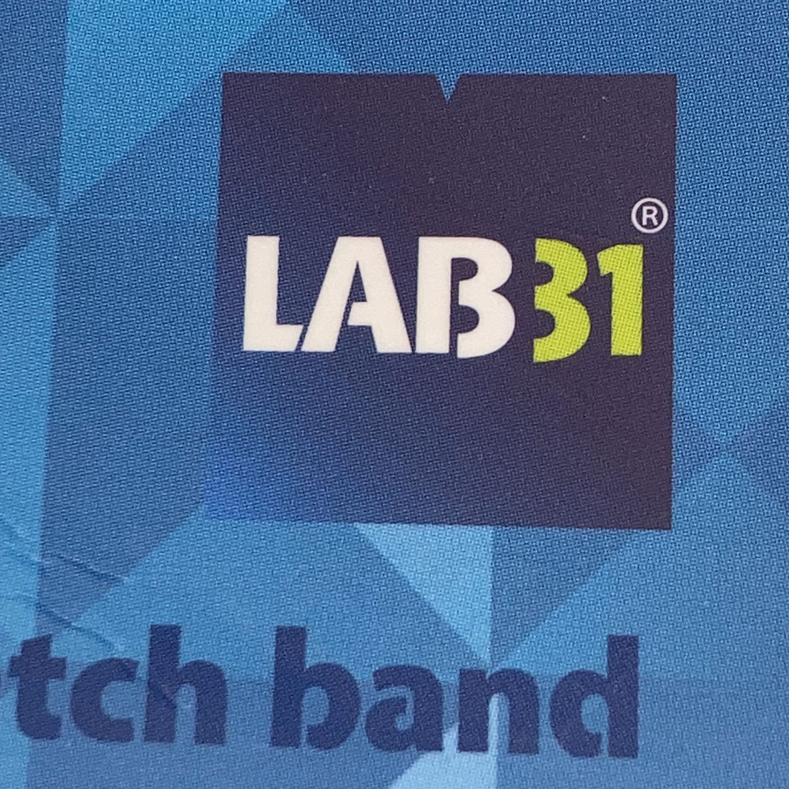 Lab31