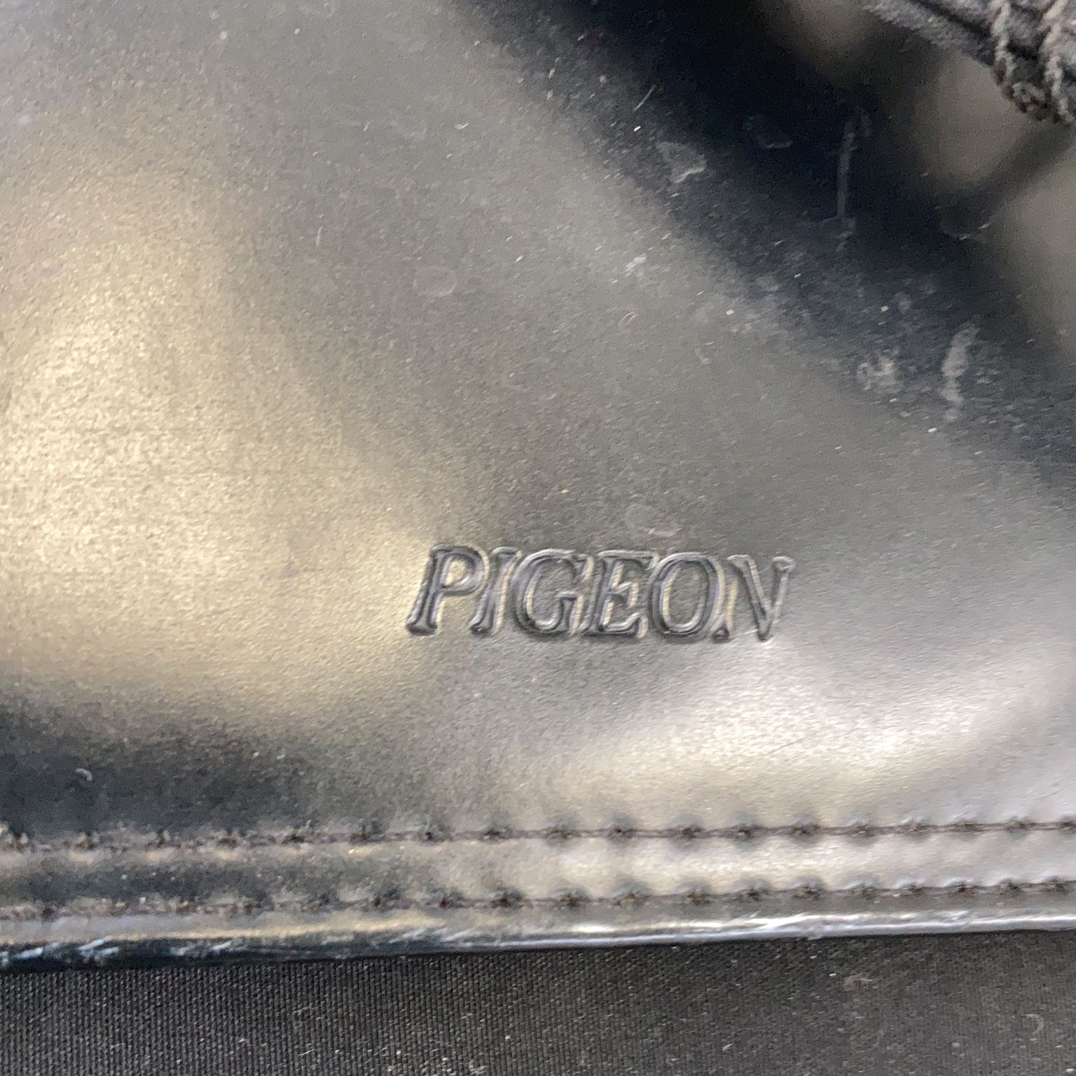 Pigeon